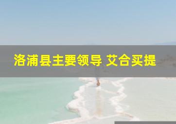 洛浦县主要领导 艾合买提